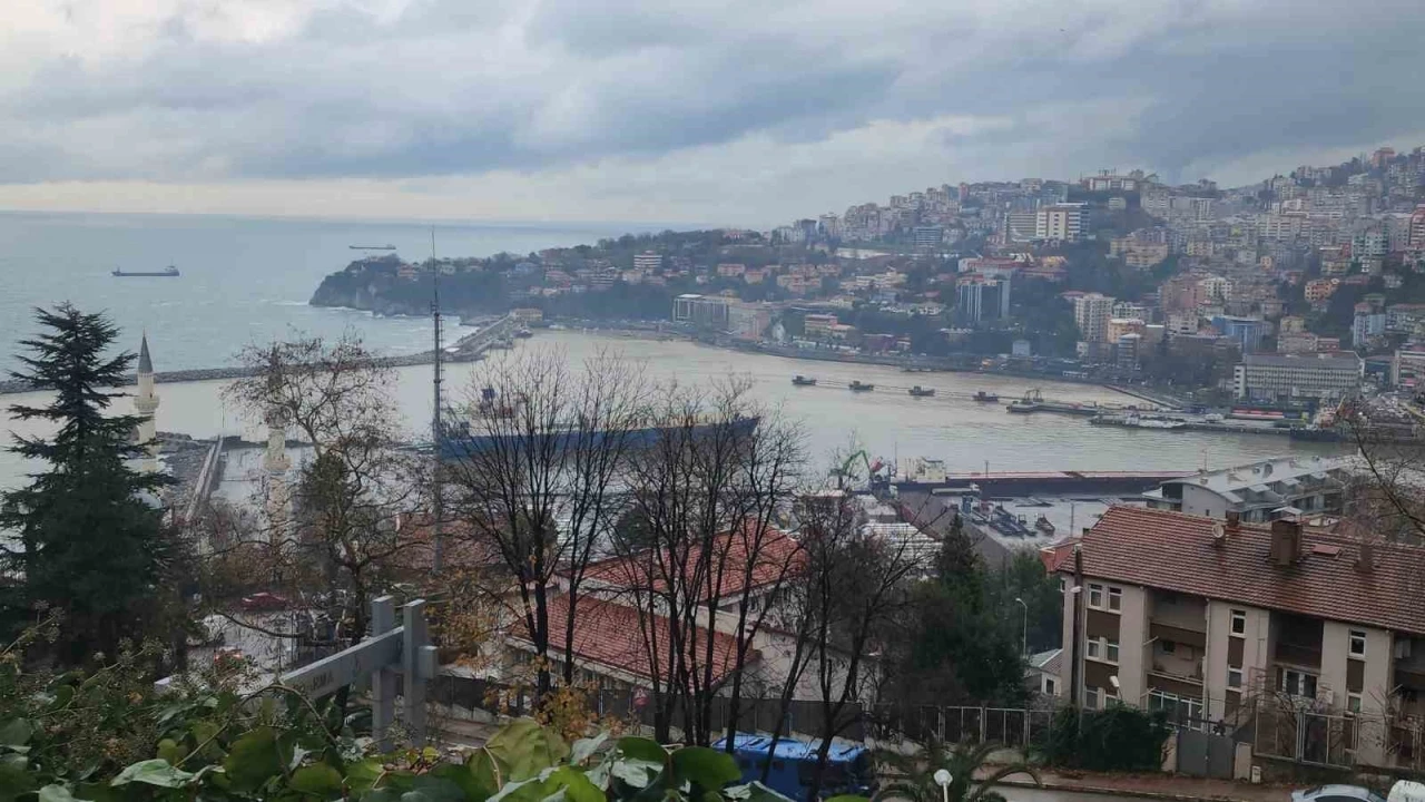 Zonguldak Limanı sarı renge boyandı
