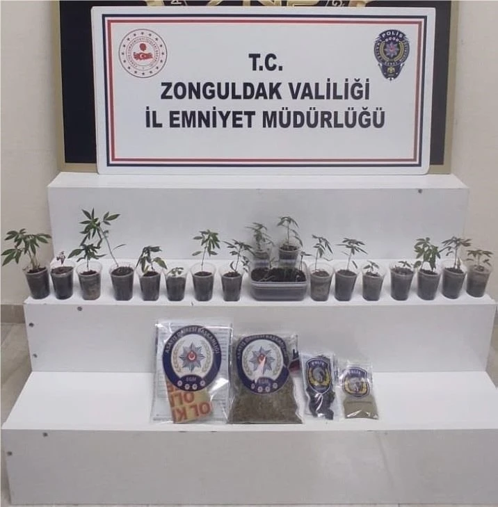 Zonguldak’ta uyuşturucu operasyonu: 1 gözaltı