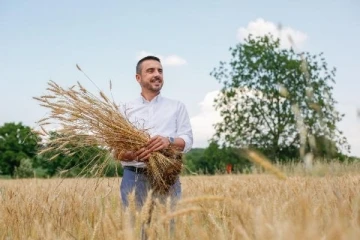 Bursa'da 1 liralık ekmek için ekilen buğdayda hasat başlıyor