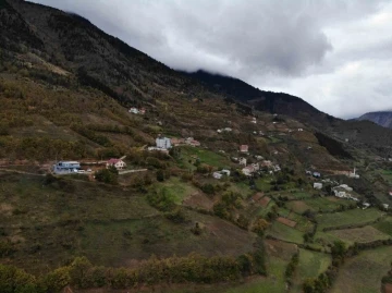 100 yıllık ekşi maya ile üretilen Araköy Ekmeği sofraları süslüyor
