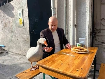 12 yıllık kazı ile Eskişehir’i gezdi, çi börek yedi