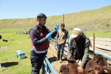 15 bine yakın aşı yapıldı
