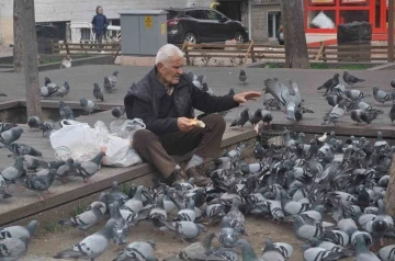 15 senedir her gün kuşları besliyor
