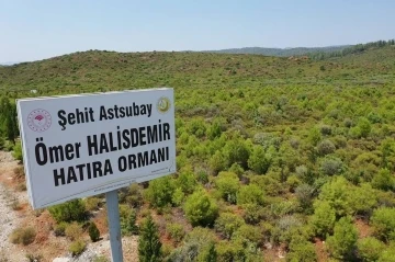 15 Temmuz Şehitleri ve Demokrasi Hatıra Ormanları’nda bugüne kadar 300 bin fidan toprakla buluşturuldu
