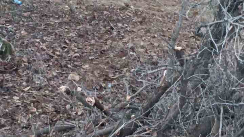 Mardin’de takla atan otomobildeki 5 kişi yaralandı