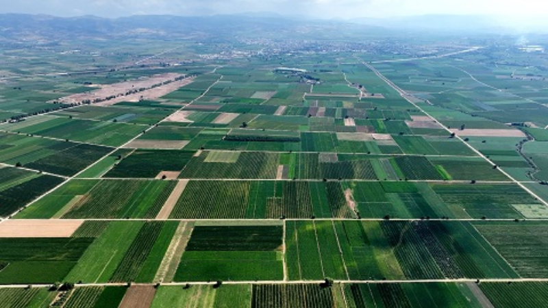 Bursa'ya 561 milyonluk tarımsal yatırım