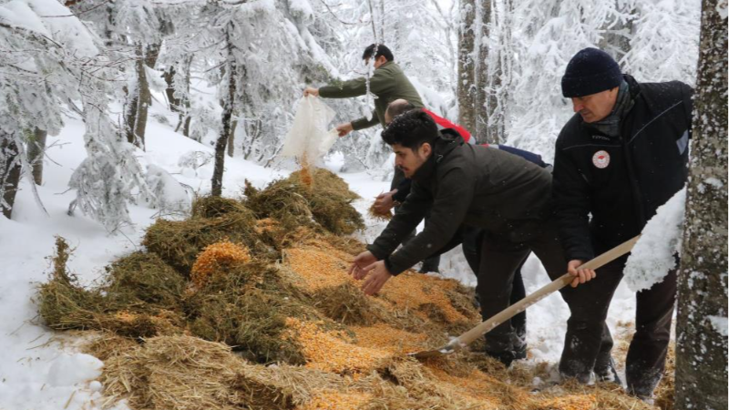 Doğa Koruma ve Milli Parklar yaban hayvanlarını unutmadı