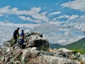 2 bin 241 rakımda yüzlerce kuşa ev sahipliği yapıyor
