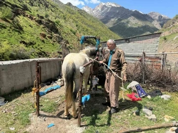 20 yıldır nalbantlık yapan usta, at ve katırların ayak bakımlarını yapıyor
