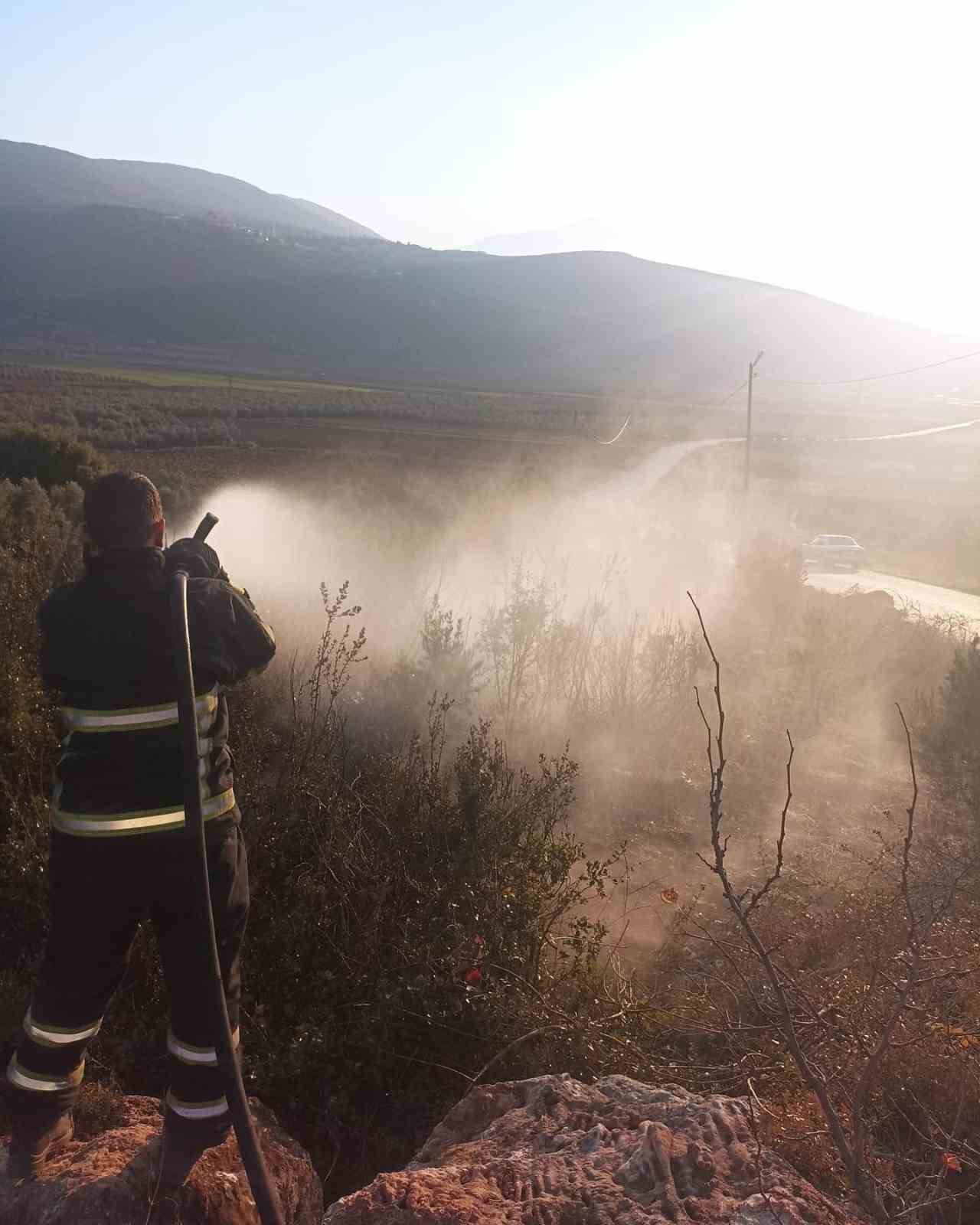 Yayladağı’nda zeytinlik yangını