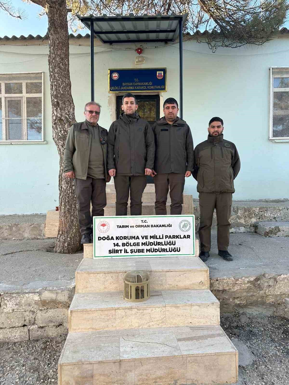 Siirt’te kaçak avlanan keklikler doğaya bırakıldı
