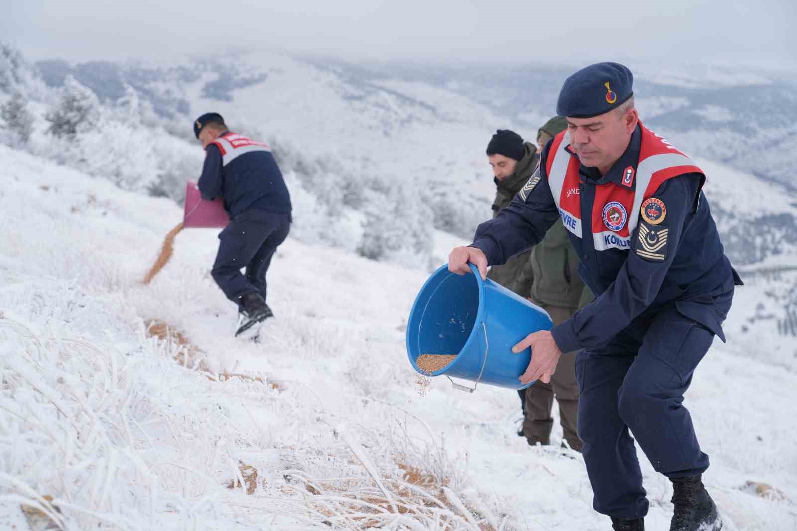 Kırşehir’de yaban hayvanları için yem bırakıldı
