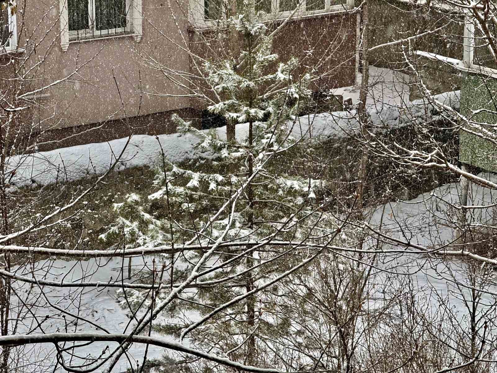 Ağrı yeniden beyaza büründü
