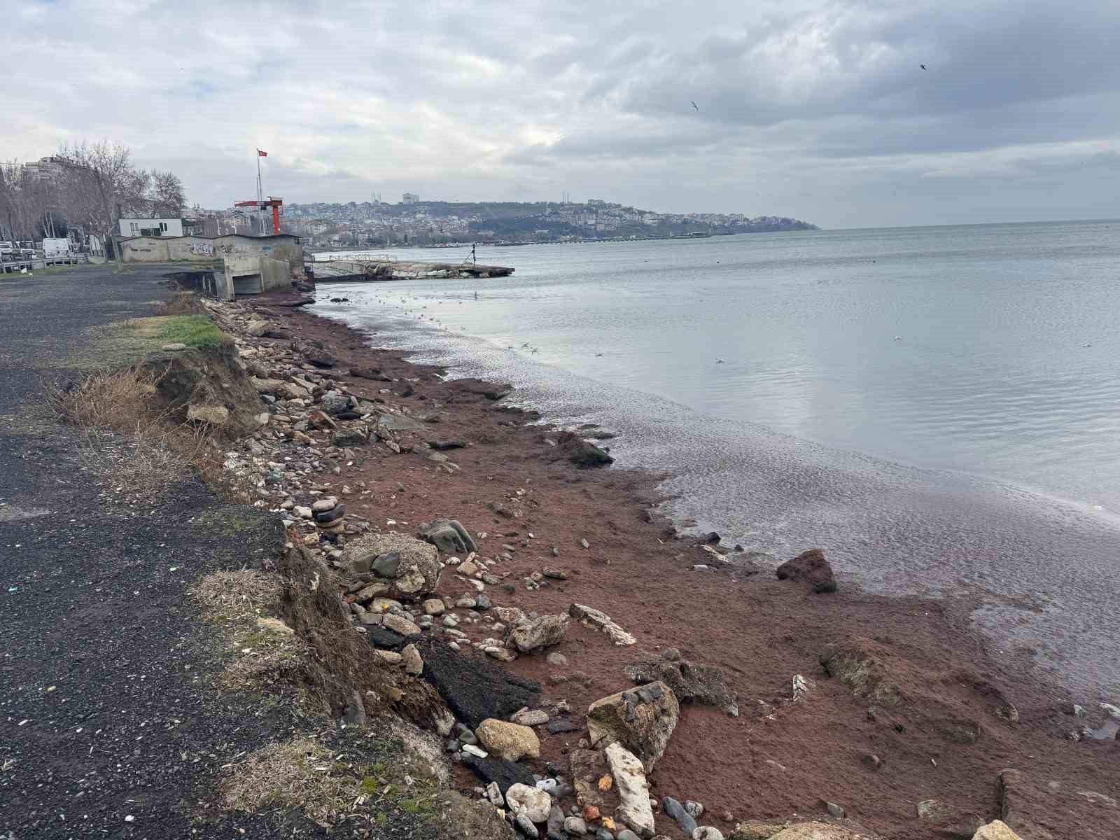 Tekirdağ kıyıları kızıl yosunla kaplandı
