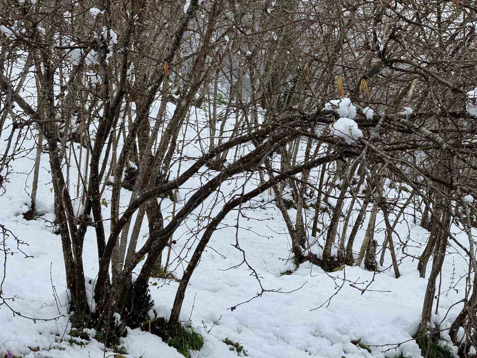 Giresun Ziraat Odası Başkanı Nurittin Karan, zirai don riskine karşı uyardı
