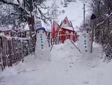 Tek başına yaşadığı köyde kardan ordu kurdu
