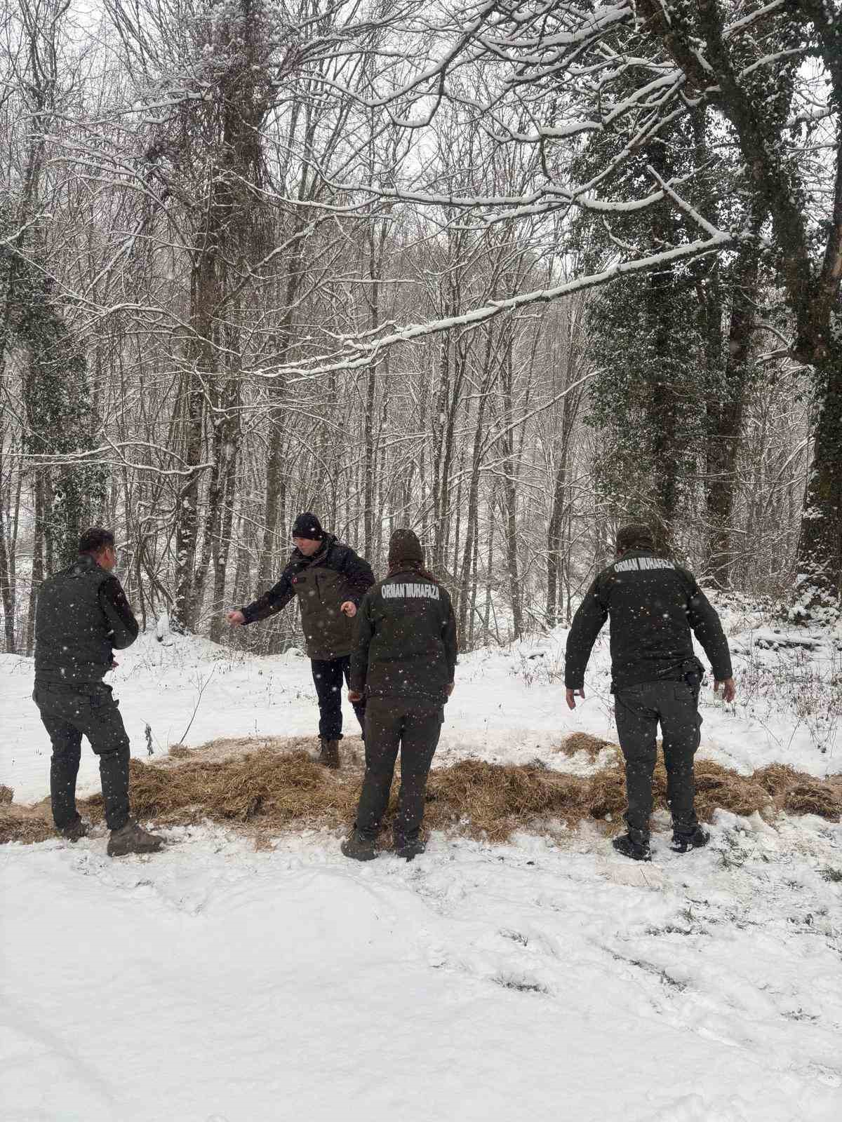 Yenice’de yaban hayvanları için doğaya yem bırakıldı
