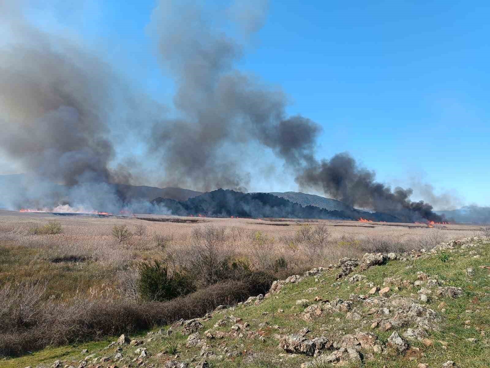 Köyceğiz’de sazlık yangını başladı
