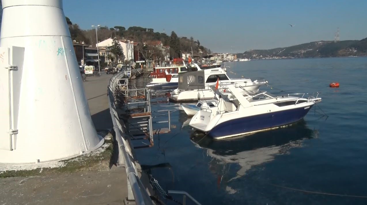 Sarıyer’de binlerce denizanası kıyıya vurdu
