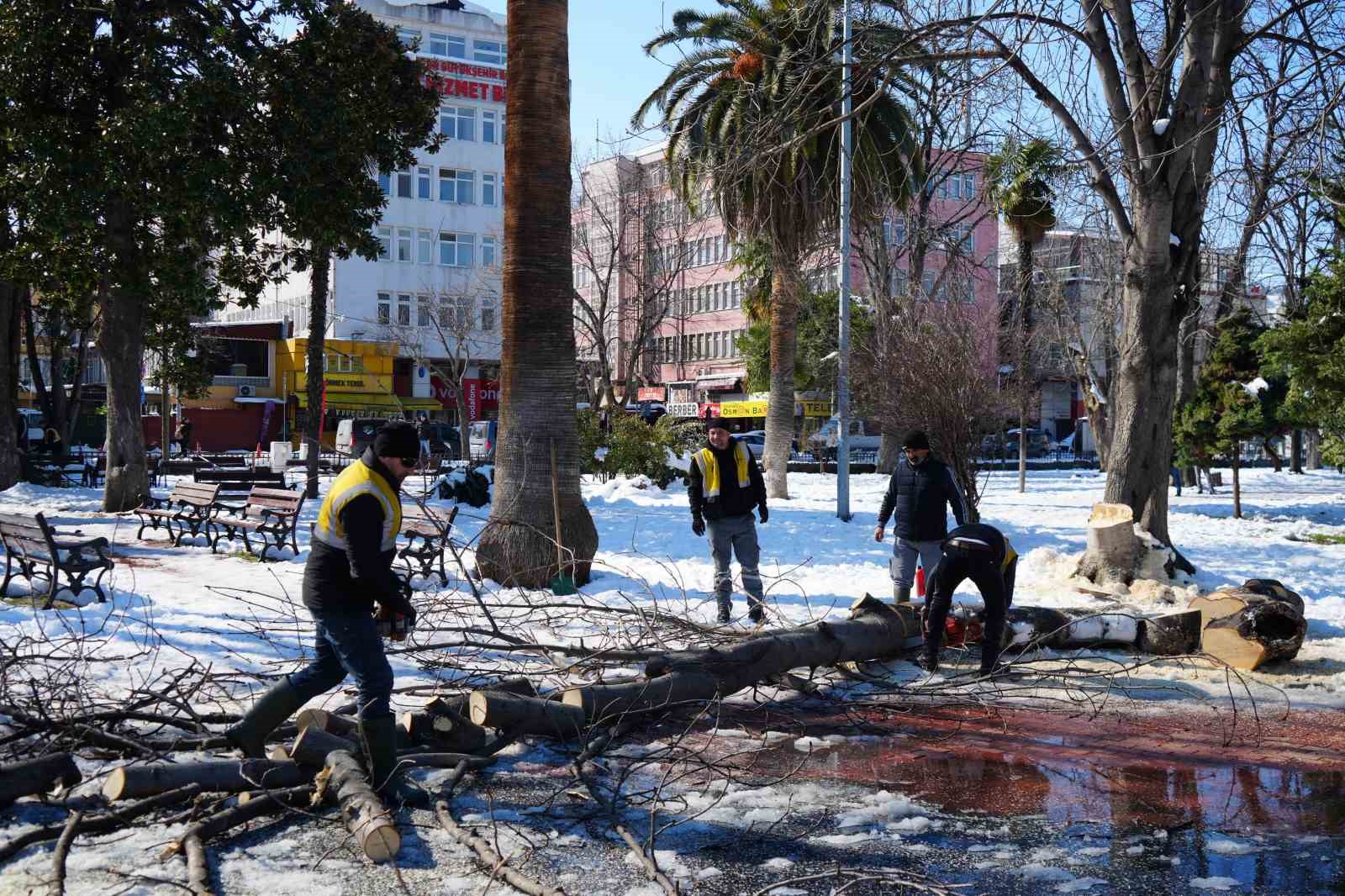 Kardan zarar gören ağaçlar kesilerek kaldırıldı
