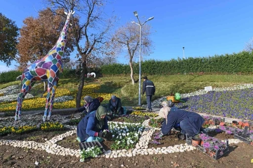 300 bin kış çiçeği toprakla buluşuyor
