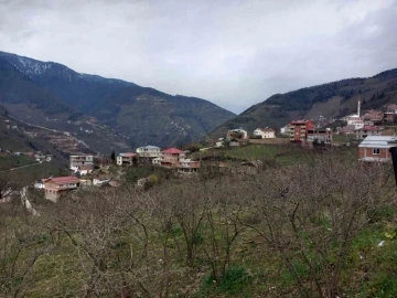 34 yıl sonra yeniden Giresun’a bağlanıyorlar
