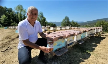 36 yıllık ilçenin ilk coğrafi işaretli ürünü ‘Yenice Ihlamur Balı’ oldu
