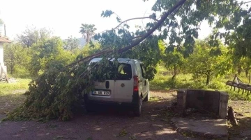 45 dakika yağdı, ağaçlar devrildi, çatı uçtu