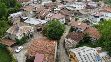 450 yaşında olduğu düşünülen ceviz ağacı köyün maskotu oldu