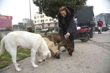 5 şişe atık bir cana mama oldu
