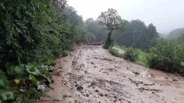 7 mahalleyi bağlayan yol heyelan sebebiyle kapandı, ekipler seferber oldu
