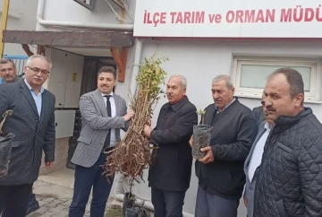 90 üreticiye 22 bin 500 adet sumak fidanı dağıtıldı
