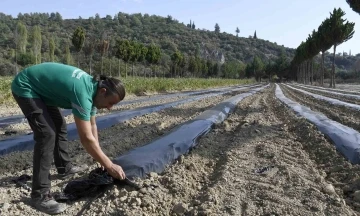 Adabahçe’de kış hazırlıkları başladı
