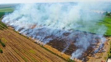 Adana’da anız yakmak yasaklandı
