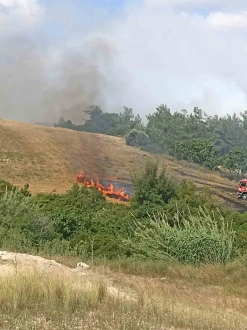 Adana’da anız yangını ağaçlara sıçradı
