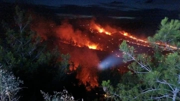 Adana’da orman yangını
