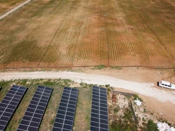 Adana’nın güneşini enerjiye dönüştürdü, üretimine destek sağladı
