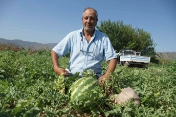 Adana’nın sıcağı Aydın’a yaradı
