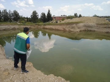 Adıyaman’da haşarat ile mücadelesi devam ediyor
