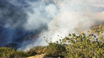 Adıyaman'ın Gerger ilçesinde çıkan orman yangını kontrol altına alındı