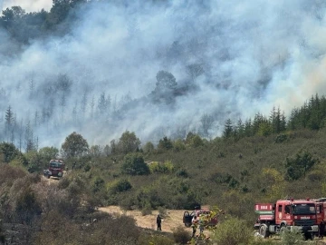 Afyonkarahisar’da Akharım orman yangını sürüyor
