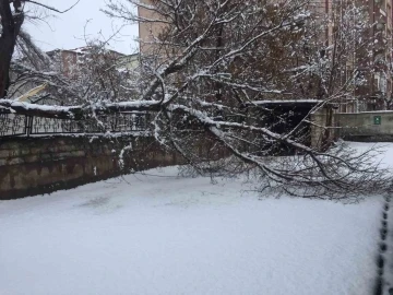 Ağrı’da bahar havası yerini kara bıraktı
