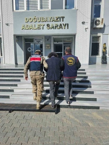 Ağrı’da firari şahıs yakalandı
