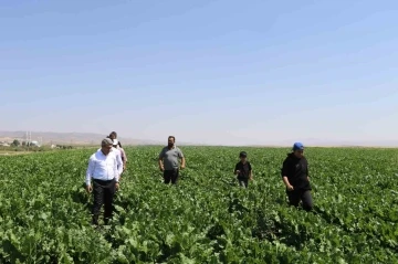 Ağrı’da Tarım ve Orman Müdürü Engin’in çiftçi ve veteriner hekim ziyaretleri
