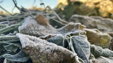 Ağrı’da termometreler eksi 2 dereceyi gösterdi
