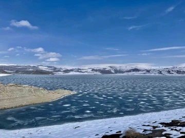 Ağrı’yı kuraklık tehlikesi sardı, barajdaki su  seviyesi düştü
