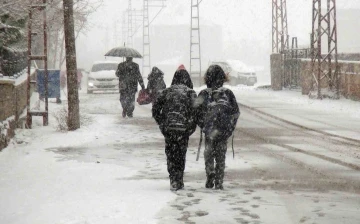 Ahlat’ta kar yağışı etkili oluyor
