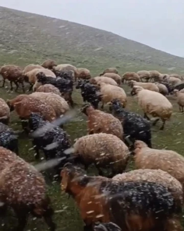 Ahlat’ta mayısta kar sürprizi
