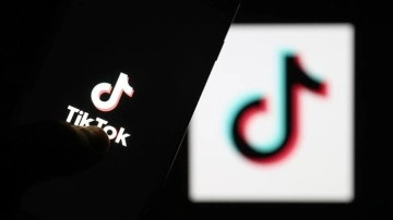 Akademisyenler siyasal iletişim alanı olarak "TikTok"u inceledi