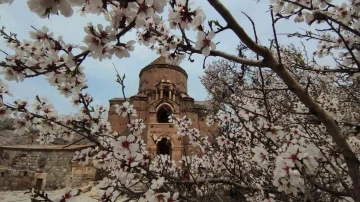 Akdamar Adası renk cümbüşüne büründü